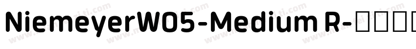NiemeyerW05-Medium R字体转换